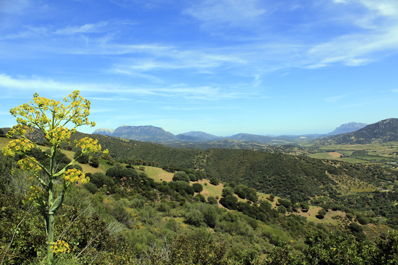 2016-04-20_135651 sardinien-2016.jpg - Umgebung von Nuoro